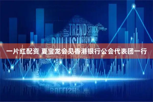 一片红配资 夏宝龙会见香港银行公会代表团一行
